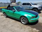 Lot #3024872376 2006 FORD MUSTANG