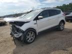 2015 FORD ESCAPE TIT - 1FMCU0J98FUC35404