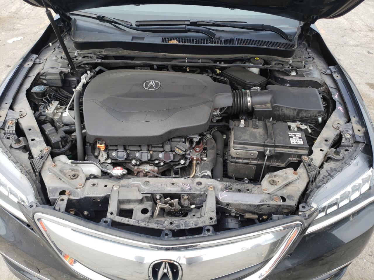 19UUB2F58FA003131 2015 Acura Tlx Tech