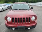 JEEP PATRIOT LA photo