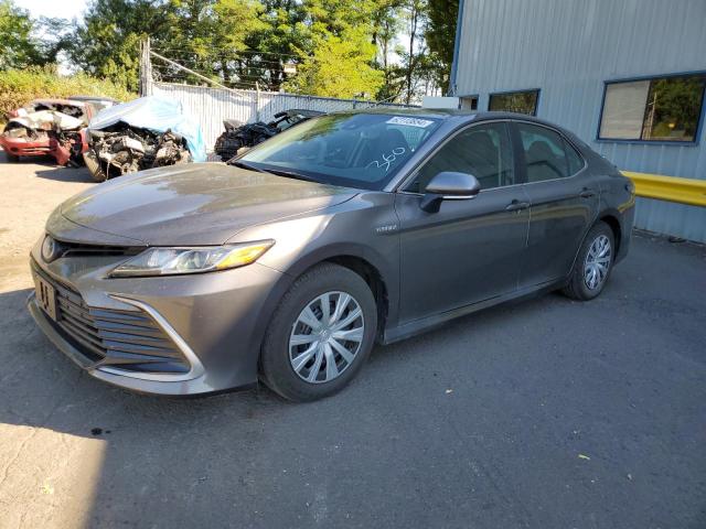 4T1H31AK8MU556177 Toyota Camry LE