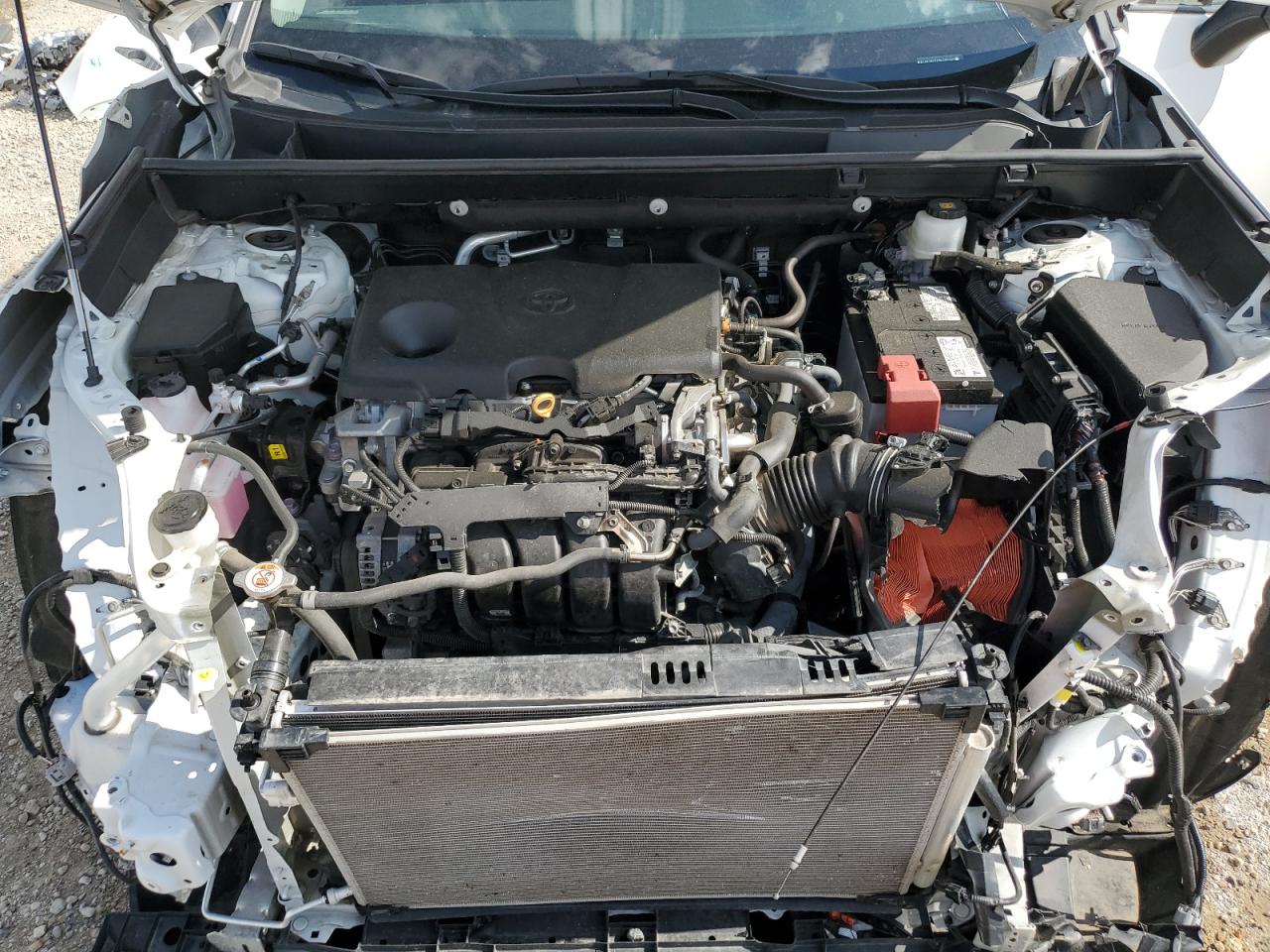 2T3R1RFV7MC209220 2021 Toyota Rav4 Xle