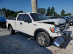 Lot #3025220636 2014 FORD F150 SUPER