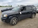 Top Destinations for Shipping Cars from the USA