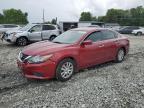 2017 NISSAN ALTIMA 2.5 - 1N4AL3AP6HC488069