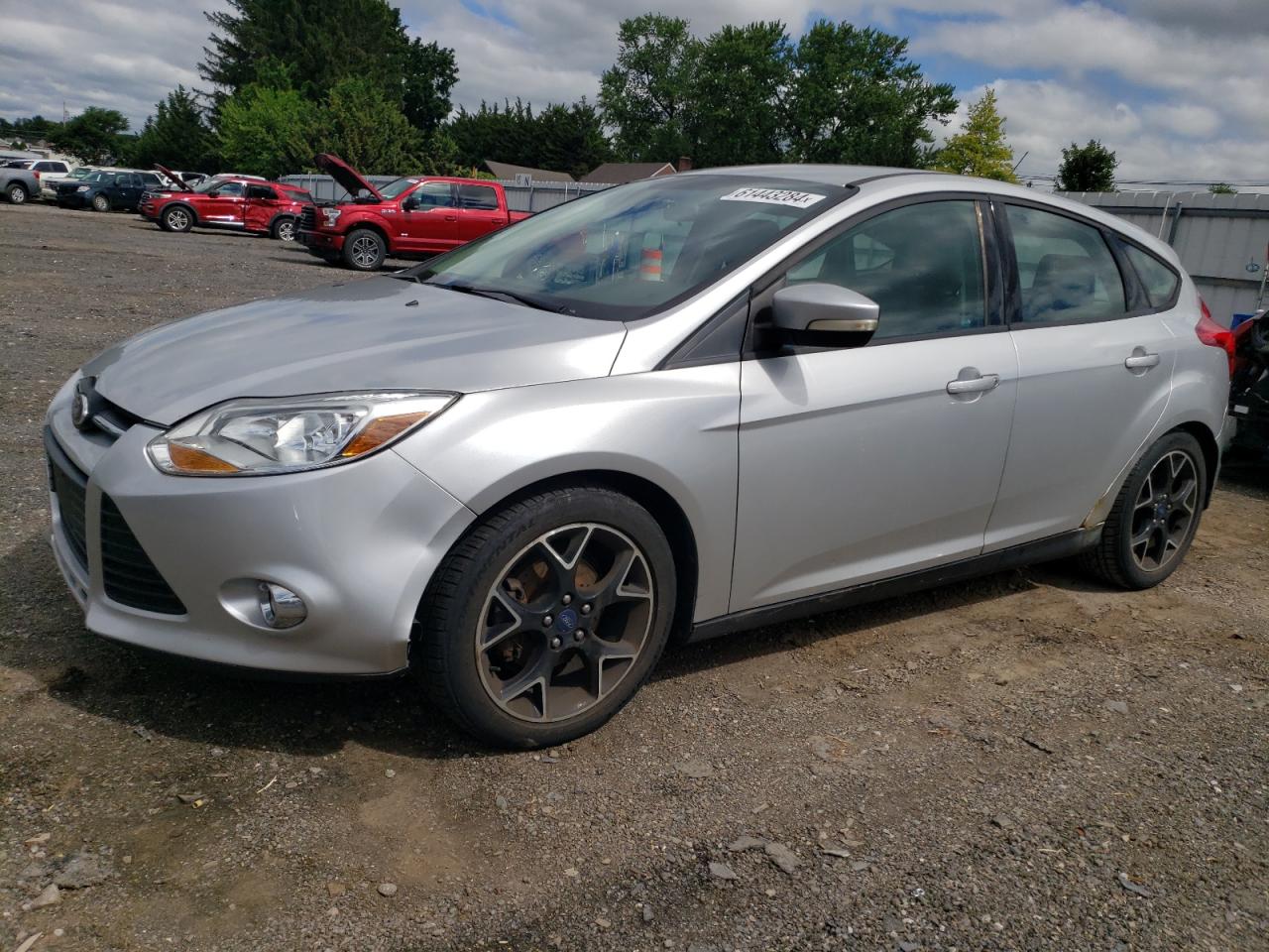 2014 Ford Focus Se vin: 1FADP3K23EL280506