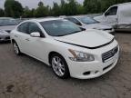 NISSAN MAXIMA S photo