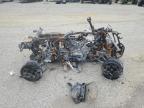 2024 CAN-AM RENEGADE X - 3JBMXAX42RJ000043