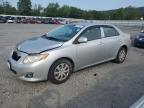 Top Destinations for Shipping Cars from the USA
