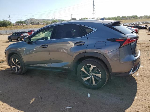 2020 LEXUS NX 300H - JTJGJRDZ6L2144943