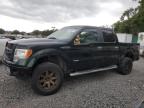 FORD F150 SUPER photo