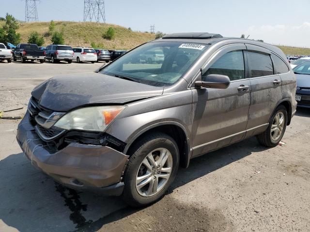Vin: 5j6re4h78al068140, lot: 64899684, honda crv exl 2010 img_1