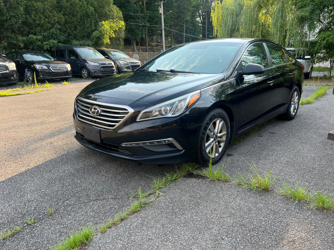 2015 Hyundai Sonata Se vin: 5NPE24AF3FH246207