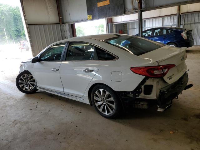 2016 HYUNDAI SONATA SPO - 5NPE34AF3GH421845