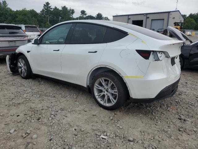 2023 TESLA MODEL Y - 7SAYGDEE0PF674576