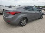 HYUNDAI ELANTRA SE photo