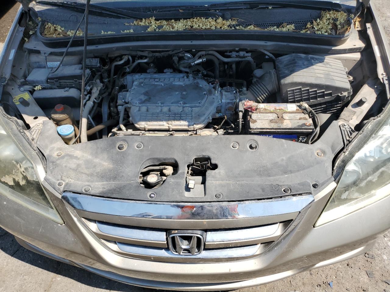 5FNRL38896B081777 2006 Honda Odyssey Touring