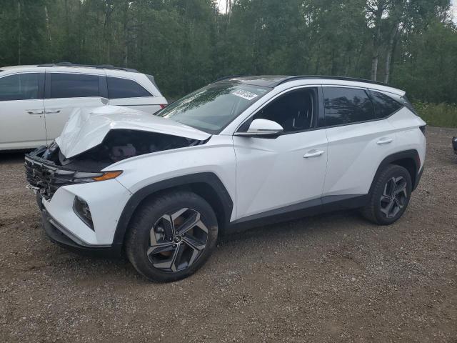 2023 HYUNDAI TUCSON LUX - KM8JCCA11PU119291