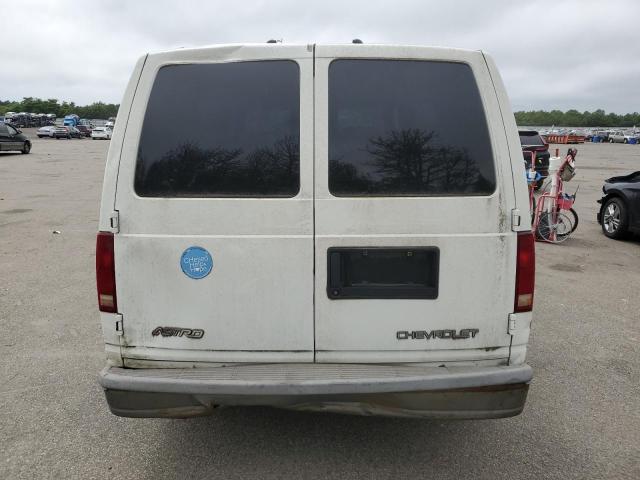 2003 Chevrolet Astro VIN: 1GCDM19X43B126771 Lot: 62431934