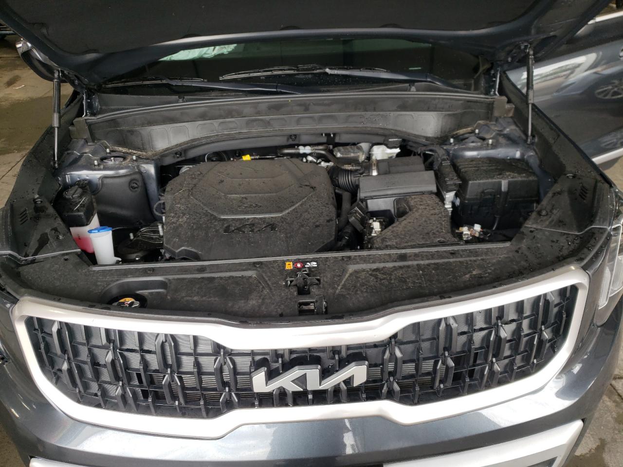 5XYP3DGCXRG474736 2024 Kia Telluride Ex