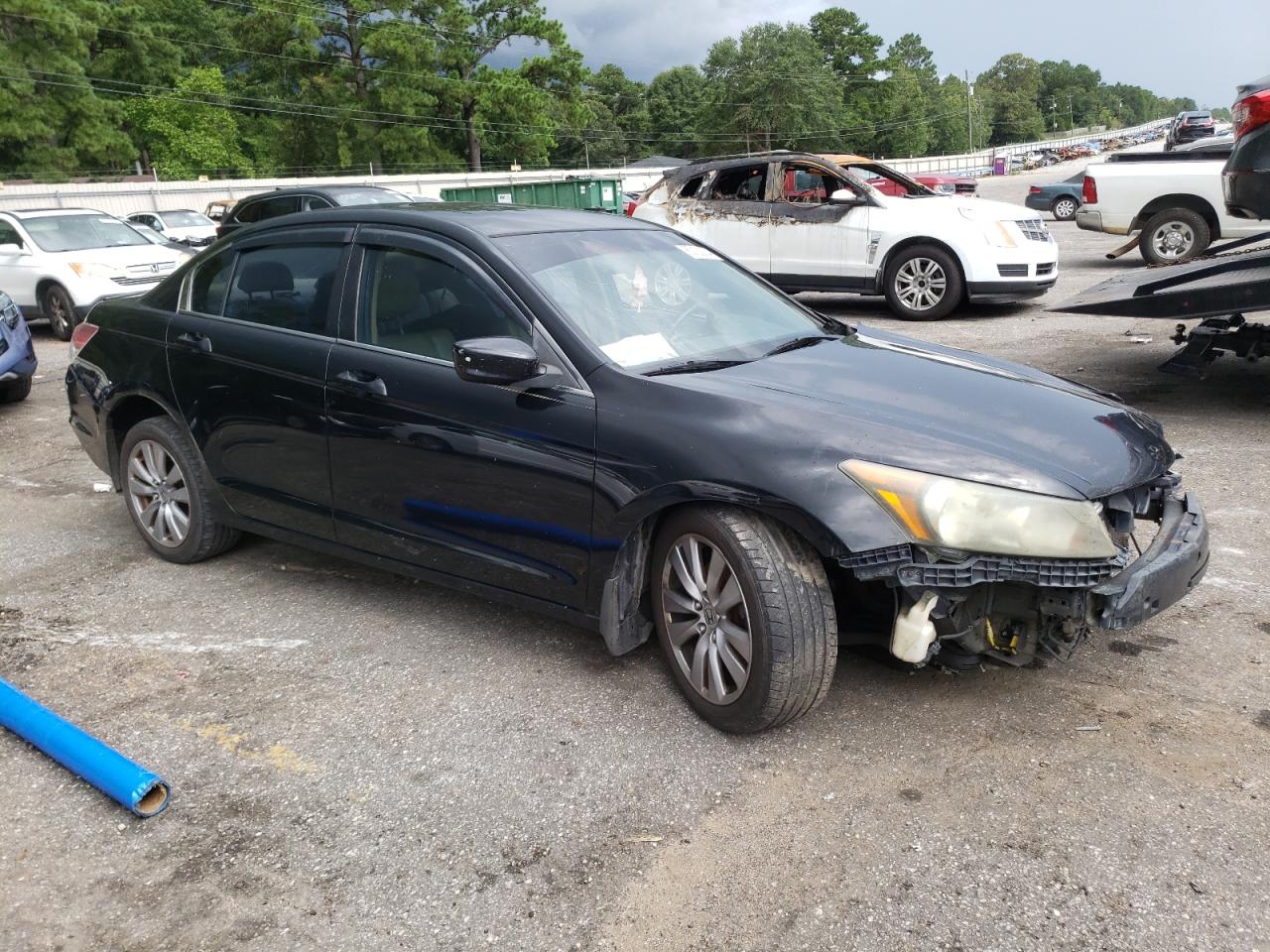 Lot #2979361632 2011 HONDA ACCORD EXL