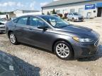 FORD FUSION SE photo