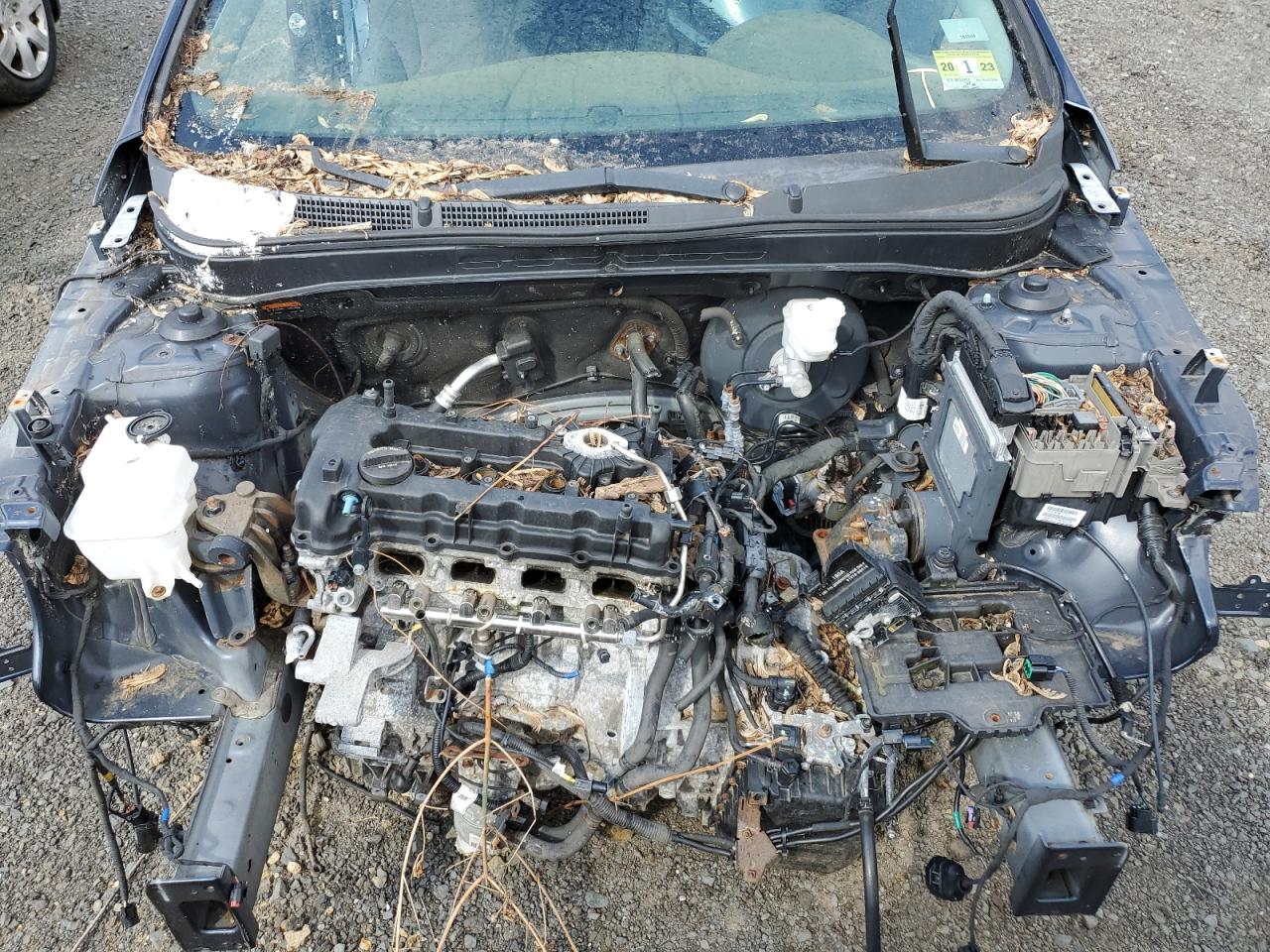 5NPEB4AC2EH839237 2014 Hyundai Sonata Gls