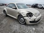 VOLKSWAGEN BEETLE photo