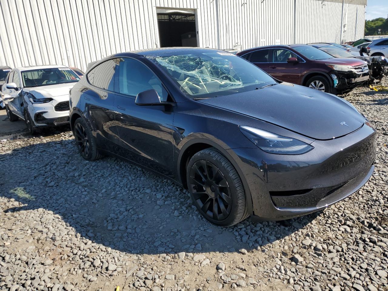 Lot #2952911868 2024 TESLA MODEL Y