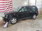 FORD ESCAPE XLT photo