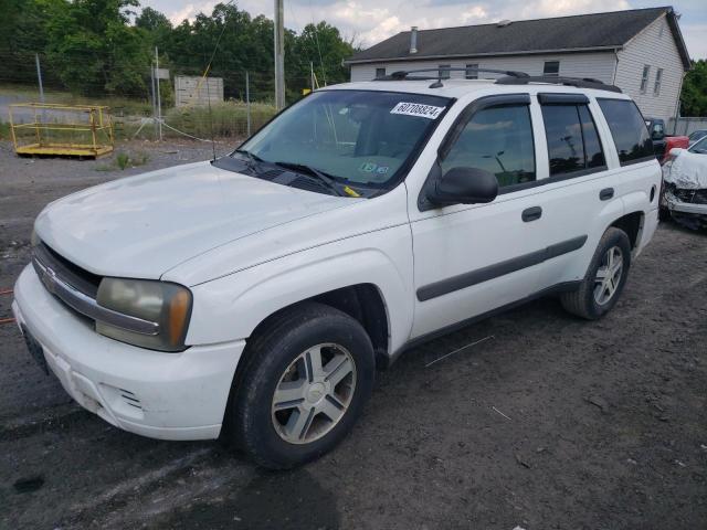 2005 Chevrolet Trailblazer Ls VIN: 1GNDT13S252202059 Lot: 60708824