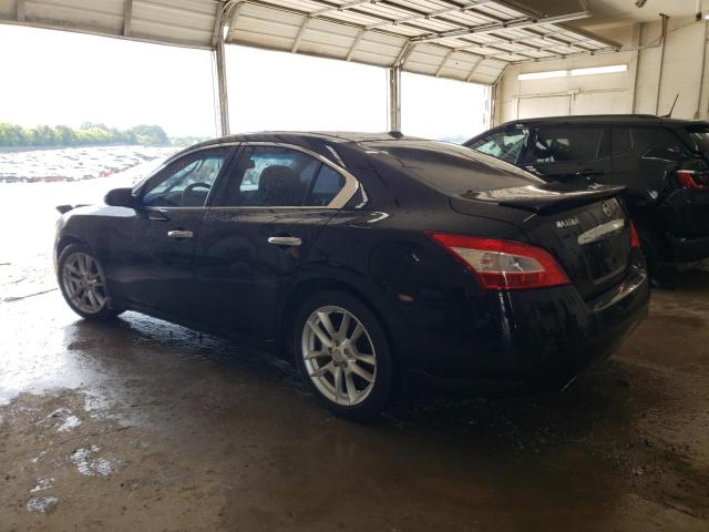 2011 Nissan Maxima S VIN: 1N4AA5AP2BC850407 Lot: 62006174