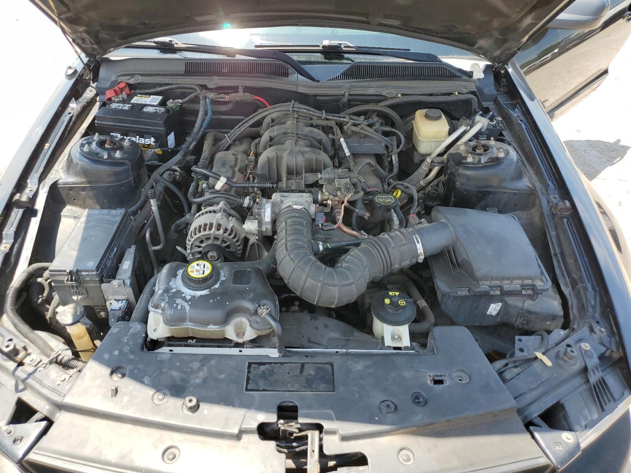 1ZVHT80N085167068 2008 Ford Mustang