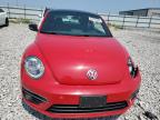 VOLKSWAGEN BEETLE TUR photo