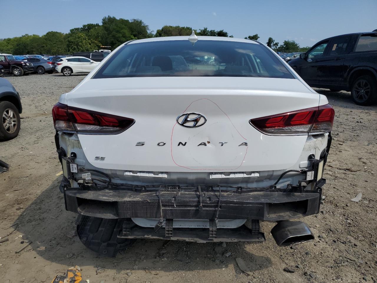 5NPE24AF4KH766376 2019 Hyundai Sonata Se