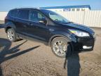 Lot #3023218184 2014 FORD ESCAPE TIT