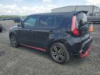 KIA SOUL + photo