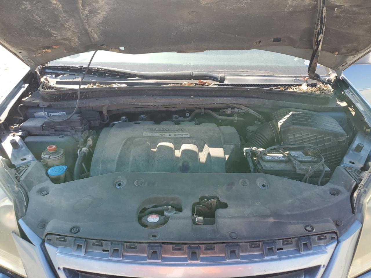 5FNRL38496B111096 2006 Honda Odyssey Ex