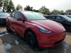 TESLA MODEL Y снимка