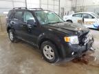 FORD ESCAPE XLT снимка