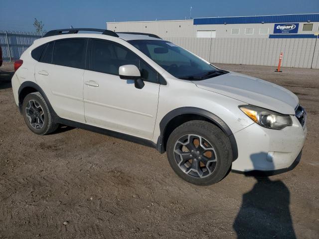 2013 Subaru Xv Crosstrek 2.0 Limited VIN: JF2GPAGC1D2805629 Lot: 60877964