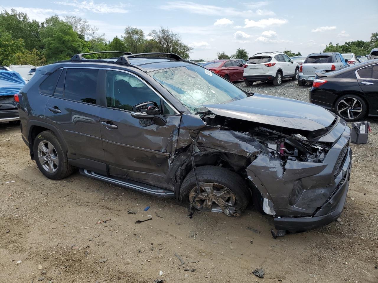 Lot #2986853877 2023 TOYOTA RAV4 XLE