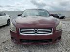 NISSAN MAXIMA S photo