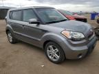 KIA SOUL + photo