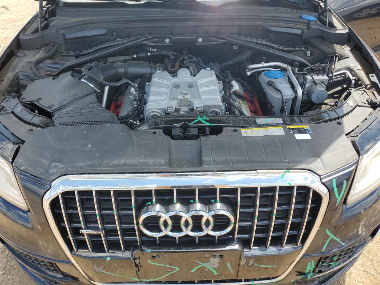 WA1DGAFP0DA066372 2013 Audi Q5 Premium Plus