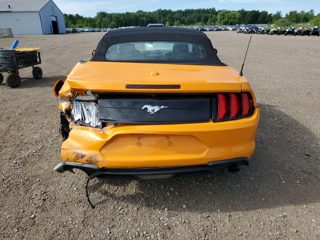 1FATP8UHXK5189453 2019 Ford Mustang