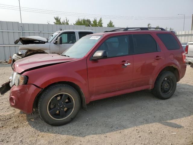 Vin: 1fmcu9dg2ckb73116, lot: 64142904, ford escape xlt 2012 img_1