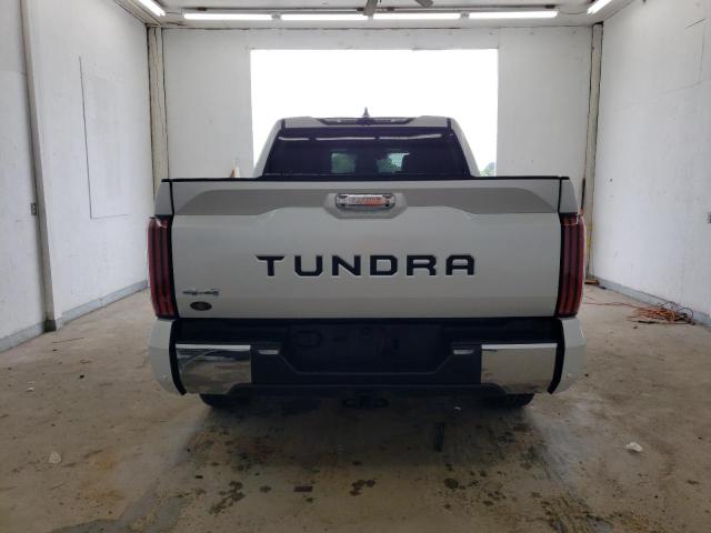 2022 Toyota Tundra Crewmax Platinum VIN: 5TFMA5DBXNX009181 Lot: 61934774