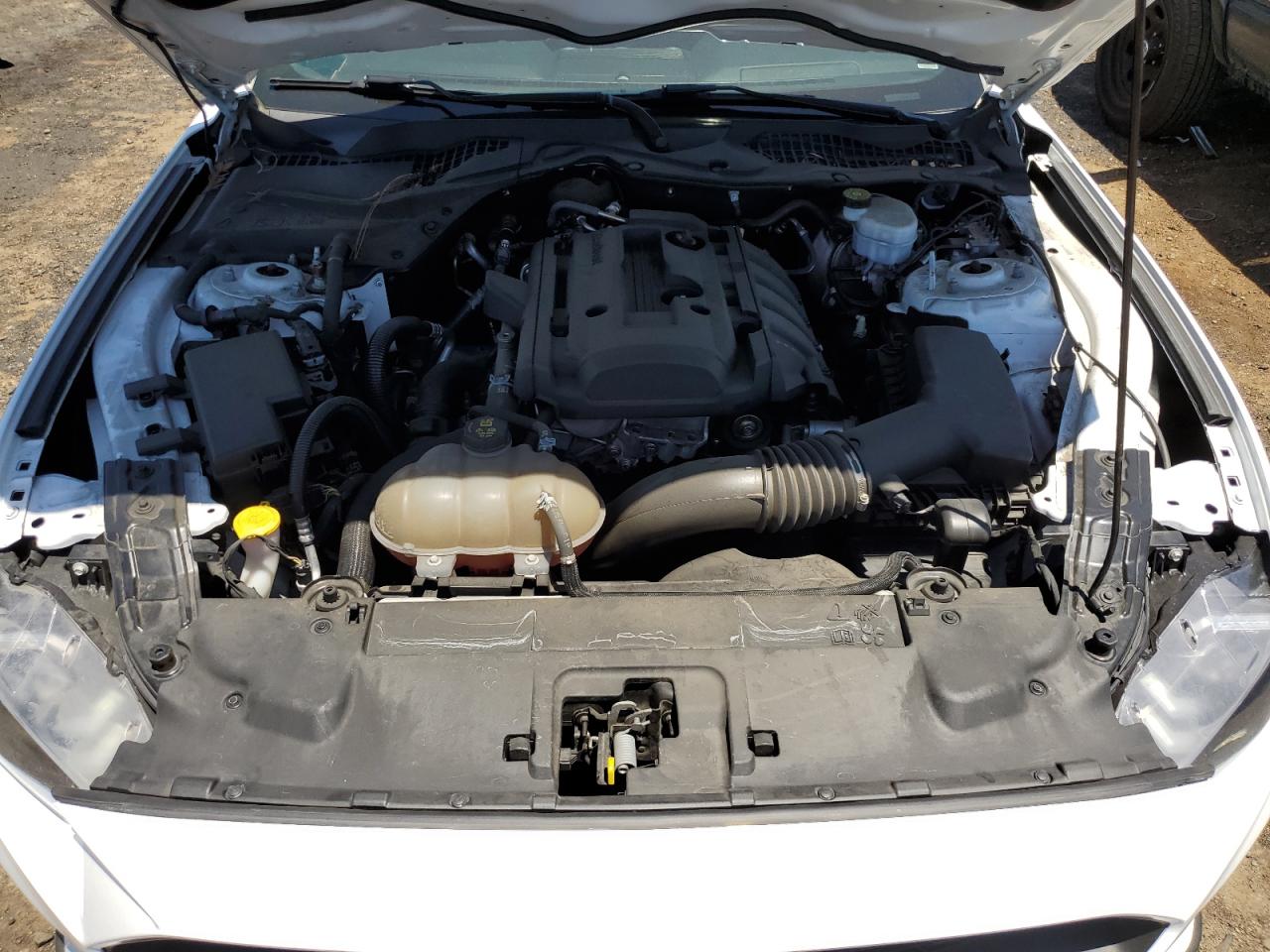 1FA6P8TH2K5112364 2019 Ford Mustang