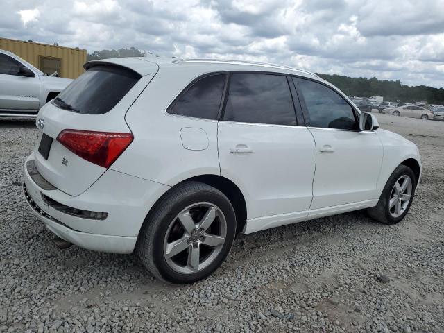 2010 Audi Q5 Premium Plus VIN: WA1LKAFP9AA004829 Lot: 60602974